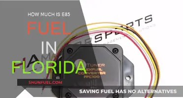 E85 Fuel Prices in Florida: How Much Does it Cost?