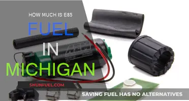 E85 Fuel Prices in Michigan: How Much Does it Cost?