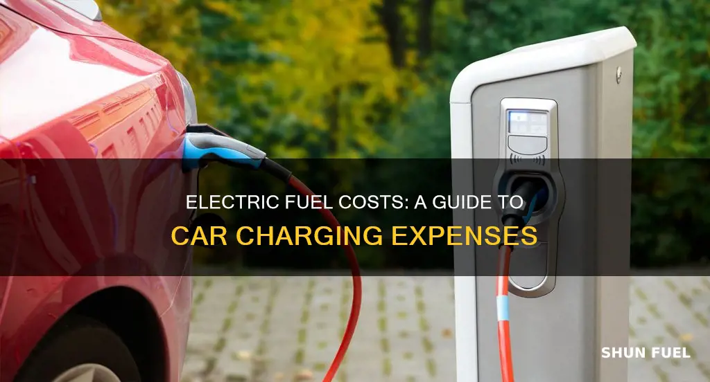 how much is electric fuel for cars