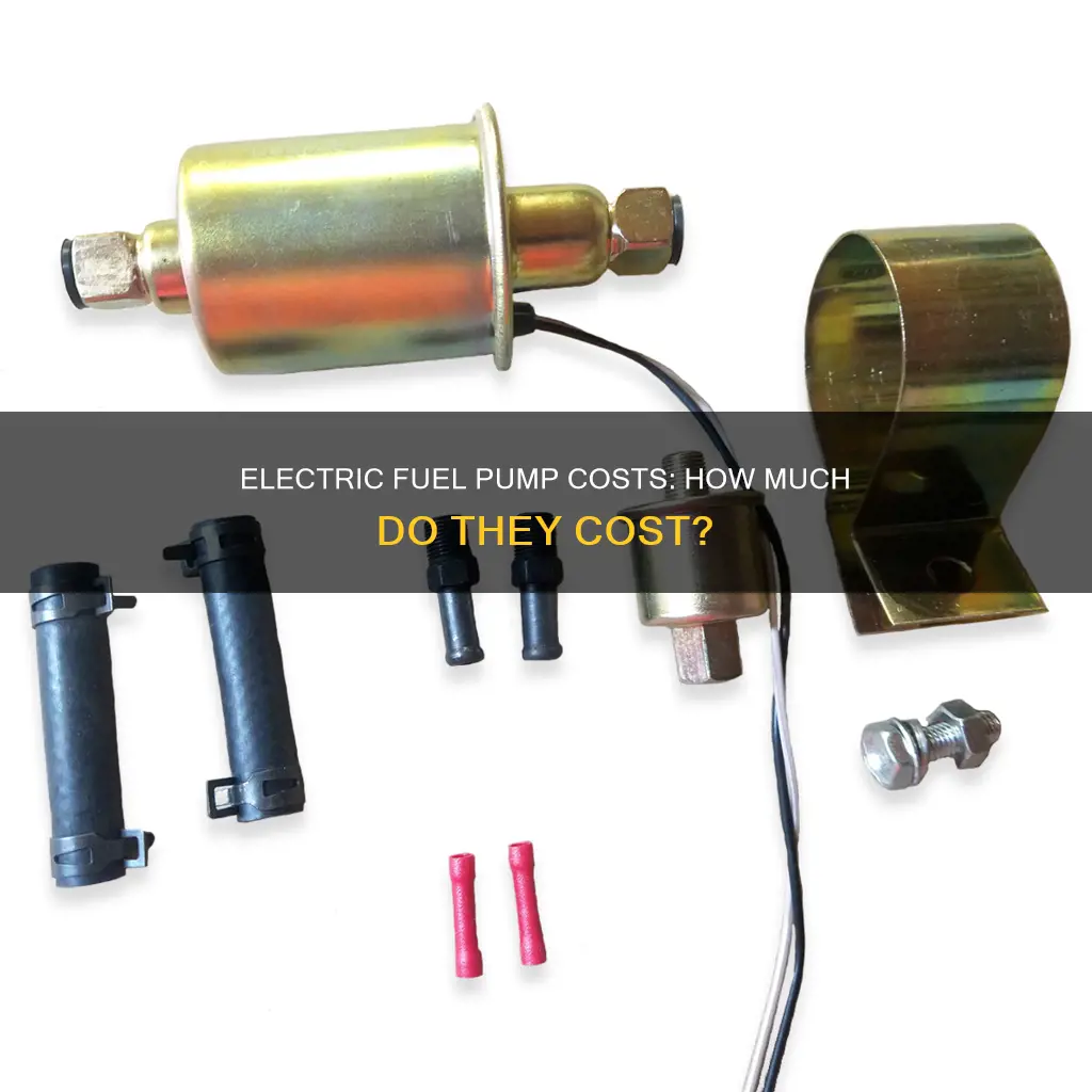 how much is electric fuel pump