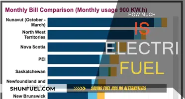 Electric Fuel: Cost-Effective Power for the Future