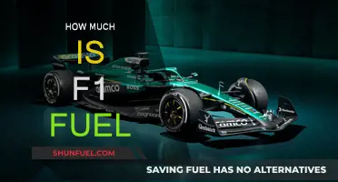 The Expensive Fuel: F1's Costly Power Source