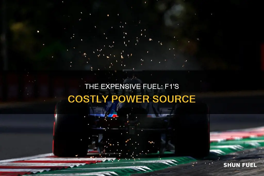 how much is f1 fuel