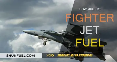 The Cost of Jet Fuel: Powering Fighter Jets