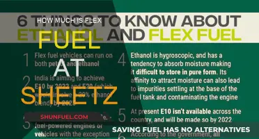 Flex Fuel at Sheetz: Cost and Benefits