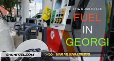 Flex Fuel in Georgia: Cost and Availability