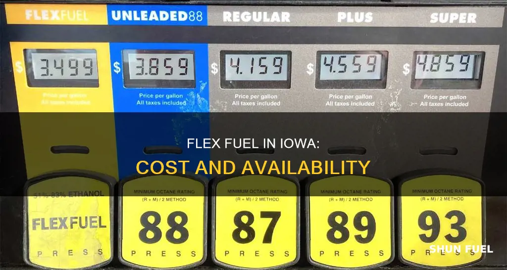 how much is flex fuel in iowa