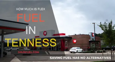 Flex Fuel in Tennessee: Cost Analysis