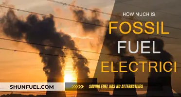 The True Cost of Fossil Fuel Electricity