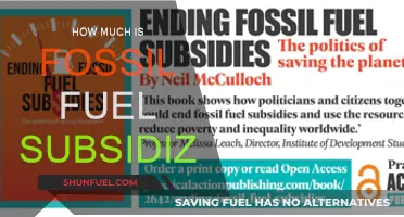 The True Cost of Fossil Fuel Subsidies