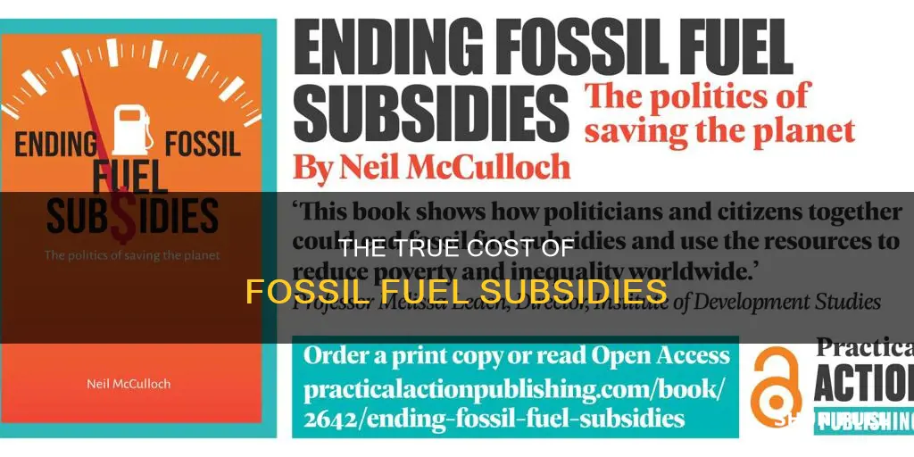 how much is fossil fuel subsidizd