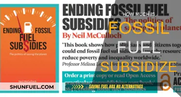 The True Cost of Fossil Fuel Subsidies
