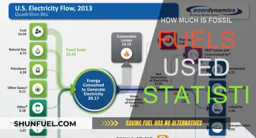 Fossil Fuel Usage: Statistics and Insights