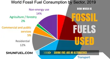 Fossil Fuels: Global Consumption, Environmental Impact, and Future Trends