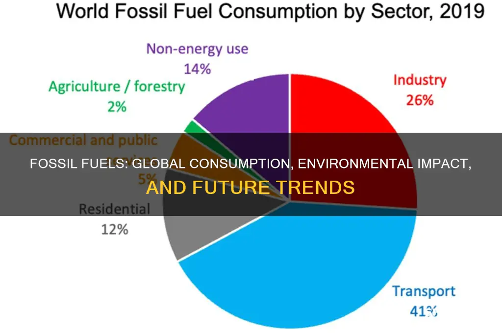 how much is fossil fuels used