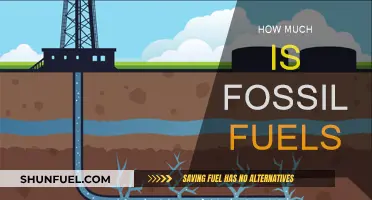 Fossil Fuels: The Costly Energy Source