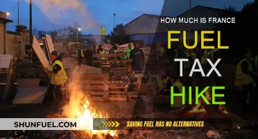 Fuel Tax Hike in France: How Much?