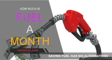 Fuel Costs: Monthly Expenses Explored