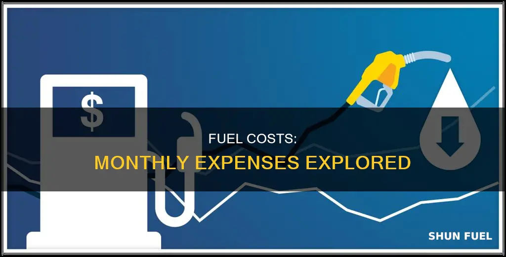 how much is fuel a month