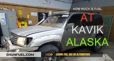 Fuel Prices at Kavik, Alaska: An Overview