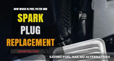 Cost Breakdown: Fuel Filter & Spark Plug Replacement