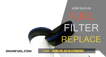 Fuel Filter Replacement: Cost and When to Change