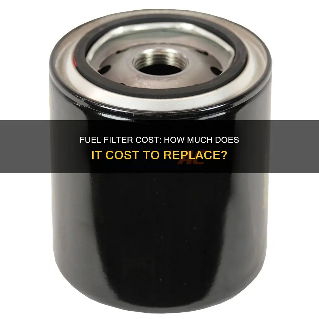 how much is fuel filter