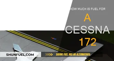 Fuel Costs for a Cessna 172: How Much?