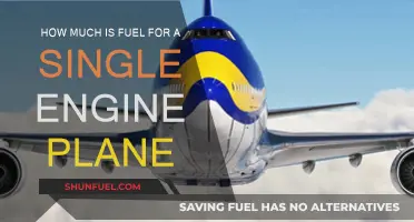 Fuel Costs for Single-Engine Planes: How Much?