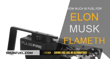 Flamethrower Fuel: How Much Does It Cost to Refuel?