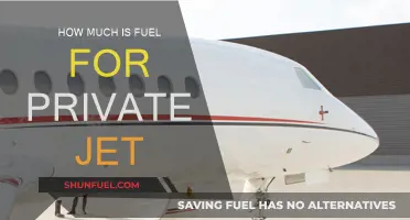 Private Jet Fuel Costs: How Much Do They Burn?