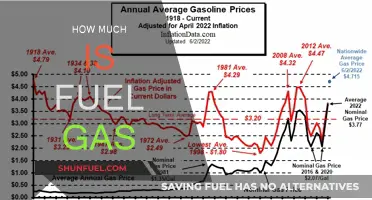 Fuel Gas Prices: A Costly Concern