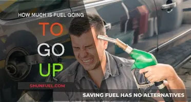 Rising Fuel Prices: How High Will They Go?
