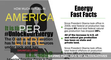 Fuel Prices in America: Cost per Litre