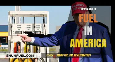 Fuel Prices in America: A Costly Affair