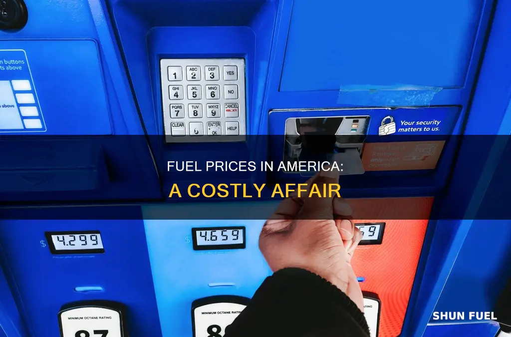 how much is fuel in america