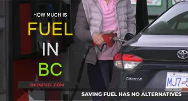Fuel Prices in British Columbia: Current Rates