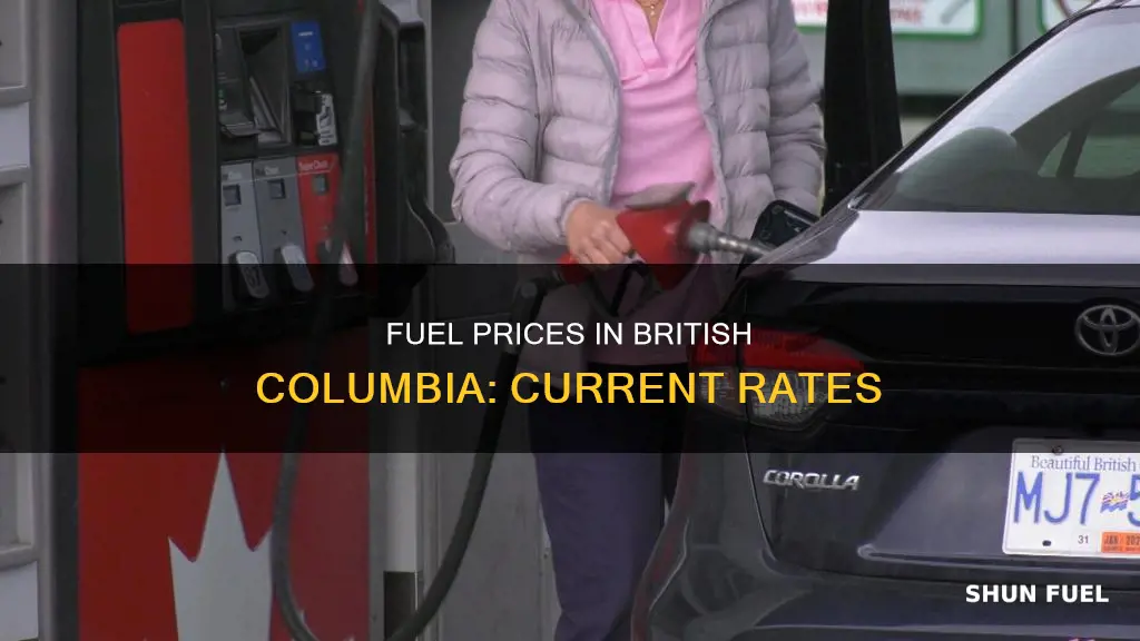how much is fuel in bc