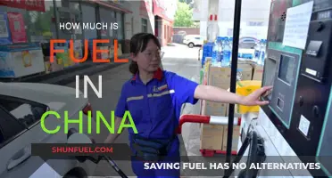 Fuel Prices in China: A Costly Affair