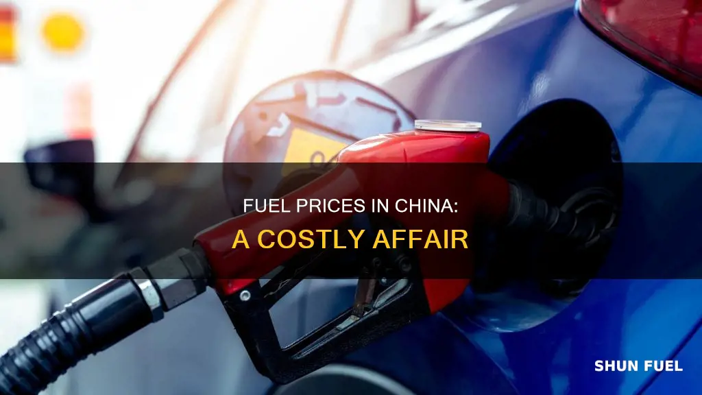 how much is fuel in china