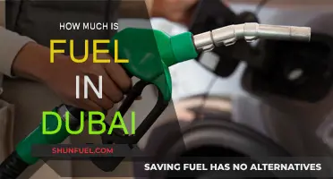Dubai Fuel Prices: Cost and Consumption