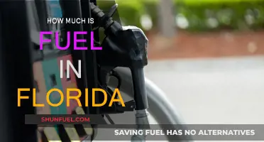 Florida Fuel Prices: Cost Analysis