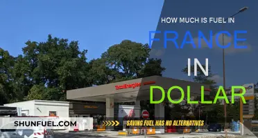Fuel Costs in France: Dollars and Cents