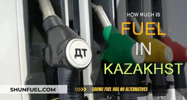 Fuel Prices in Kazakhstan: A Snapshot