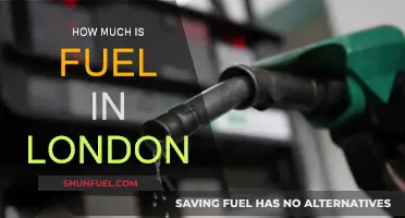 London's Fuel Prices: A Costly Affair