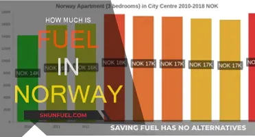 Fuel Prices in Norway: A Costly Affair