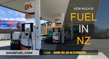 Fuel Prices in New Zealand: A Costly Concern