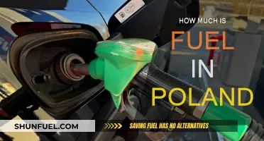 Fuel Prices in Poland: How Much Does It Cost?