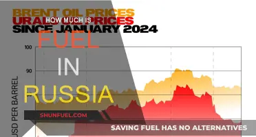 Fuel Prices in Russia: How Much Does It Cost?