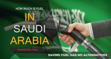 Fuel Prices in Saudi Arabia: A Cost Analysis